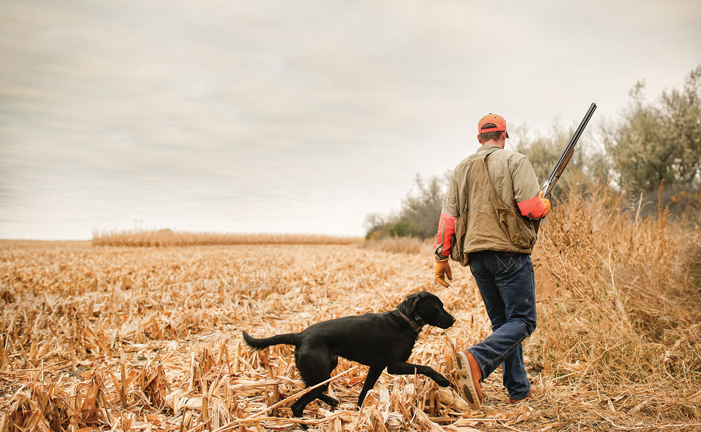 Best upland bird outlet hunting boots